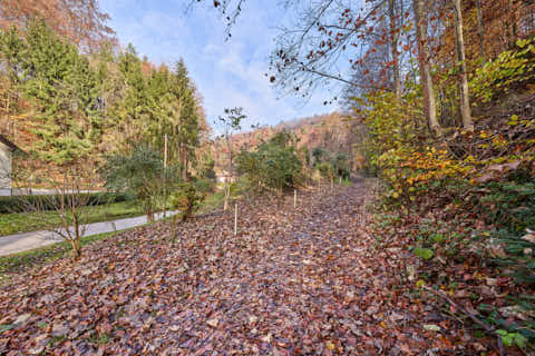 Gemeinde Julbach Landkreis Rottal-Inn Schlossberg Herbst (Dirschl Johann) Deutschland PAN